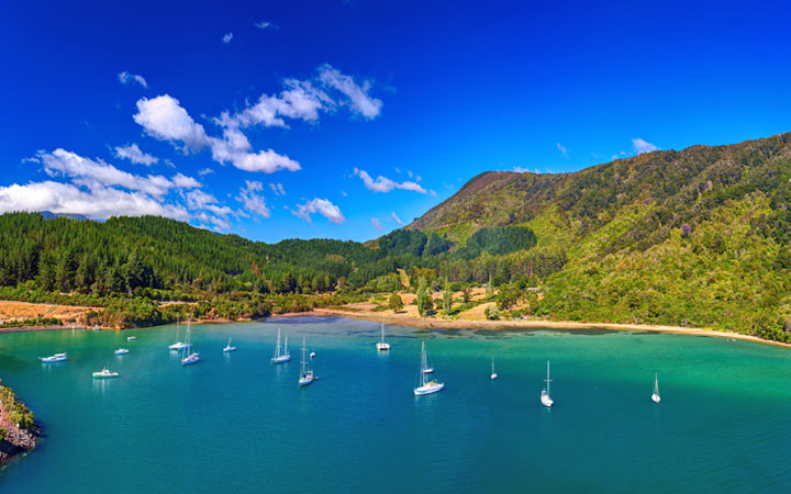 Picton (Nuova Zelanda)